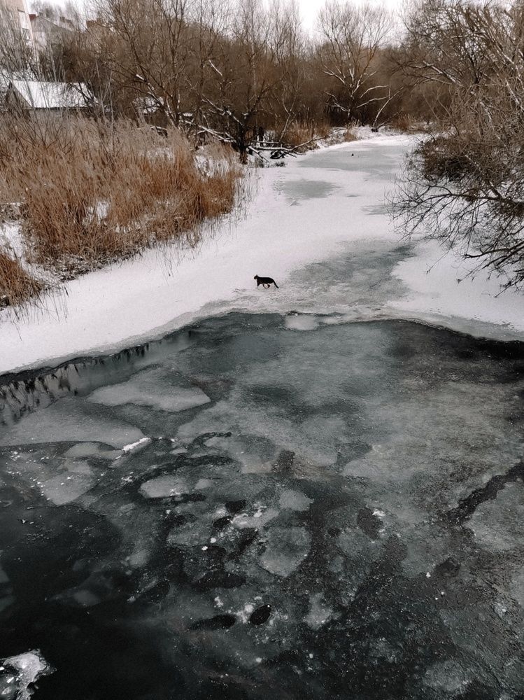 Фотография автора Алиса Исаева
