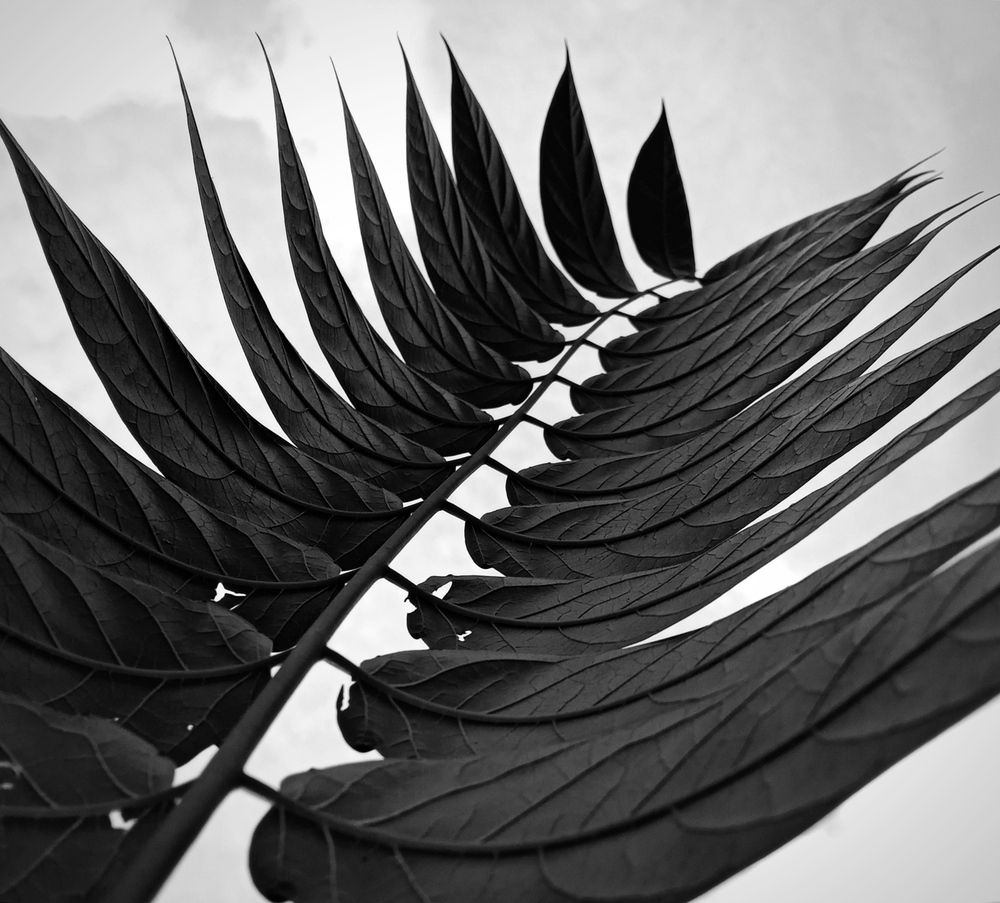 Photograph by Светлана Ищенко