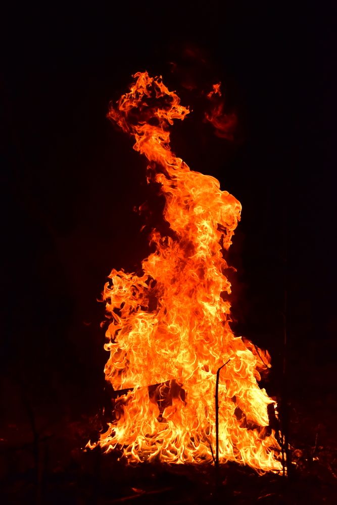 Photograph by Светлана Ивановна