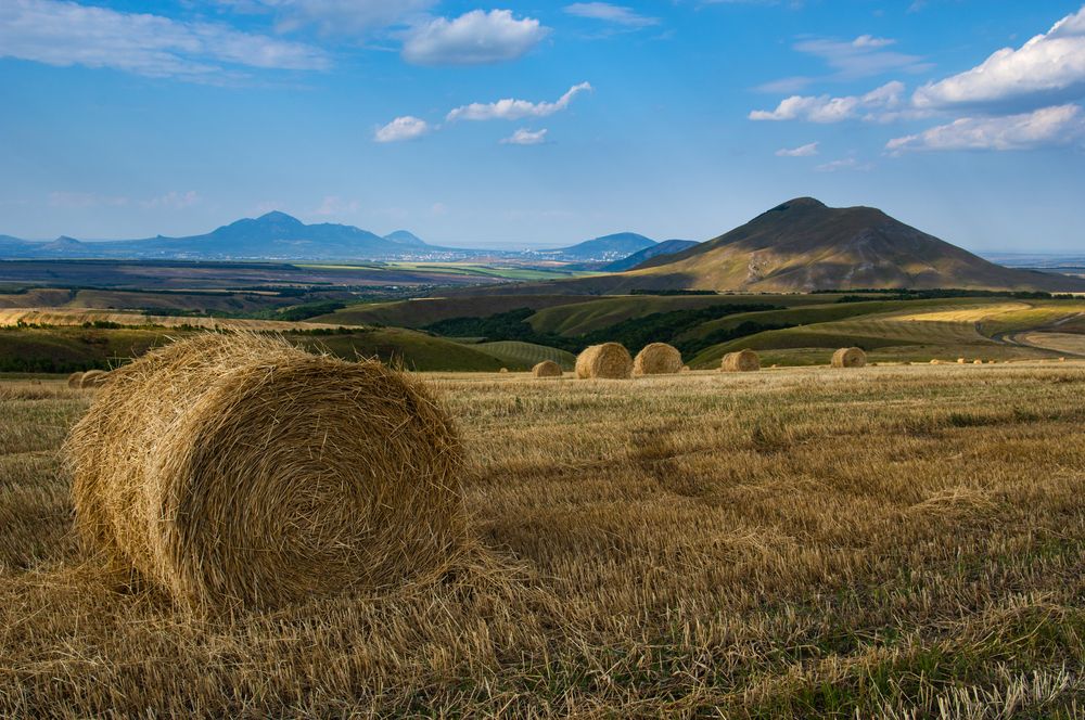 Фотография автора Олег