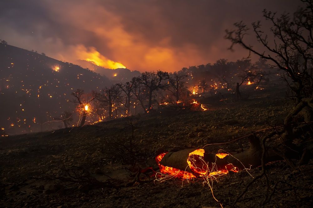 Photograph by mehdi mohebi pour