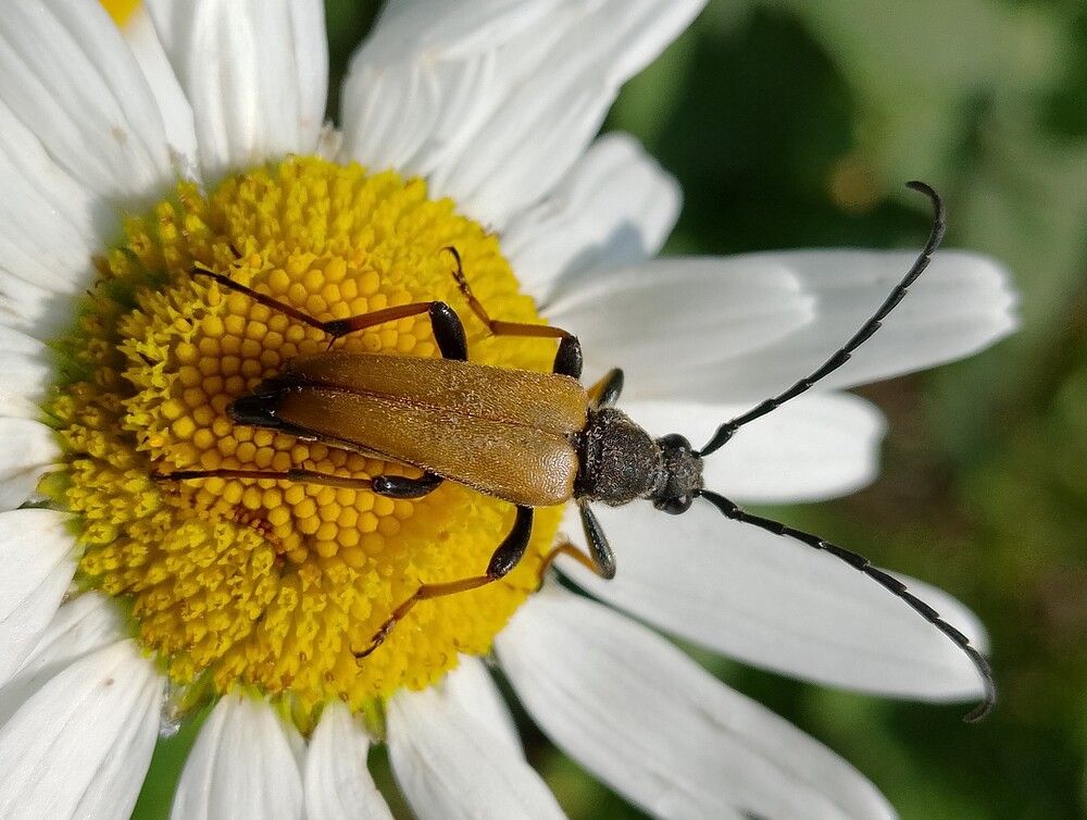 Photograph by  Валентина