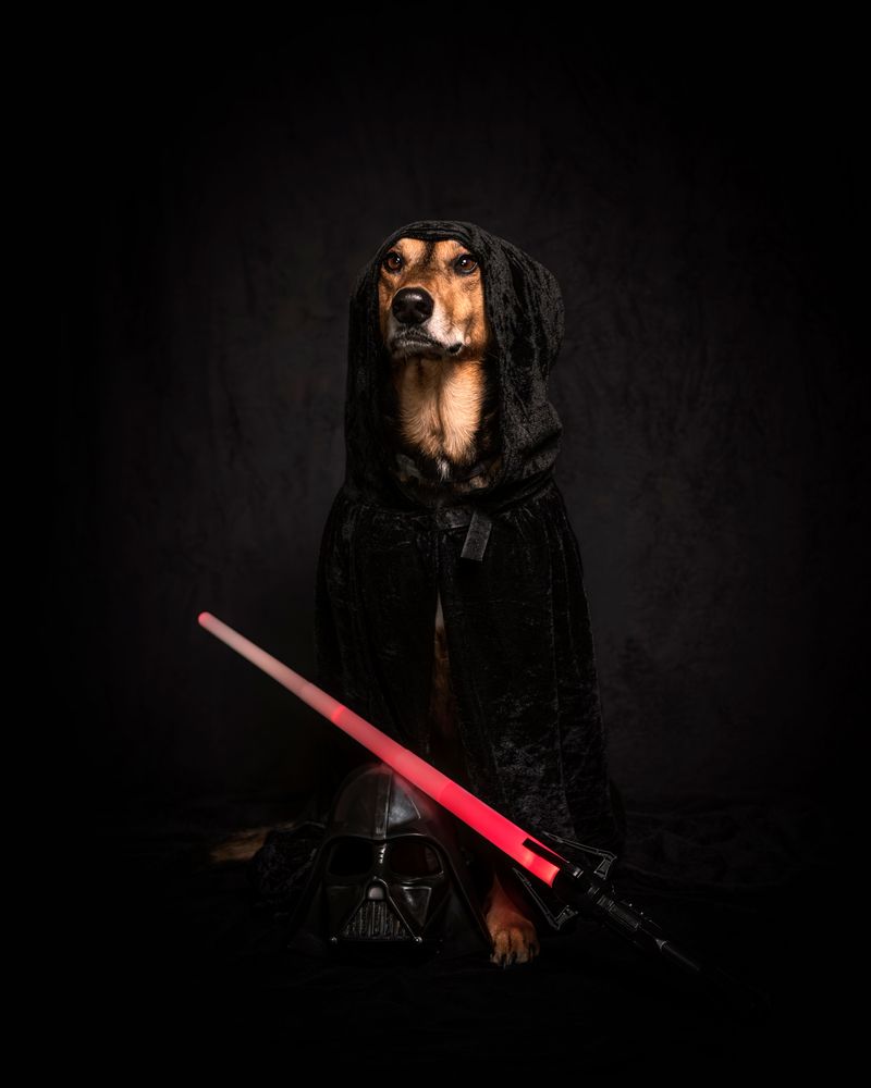 Photograph by Tamara Lebón Sánchez