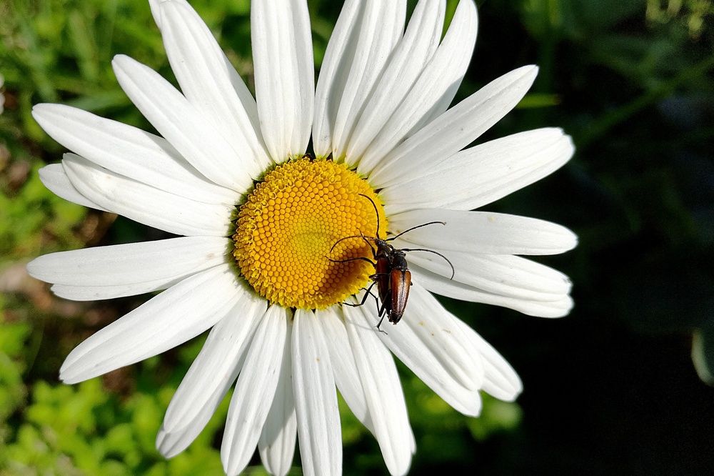 Photograph by  Валентина