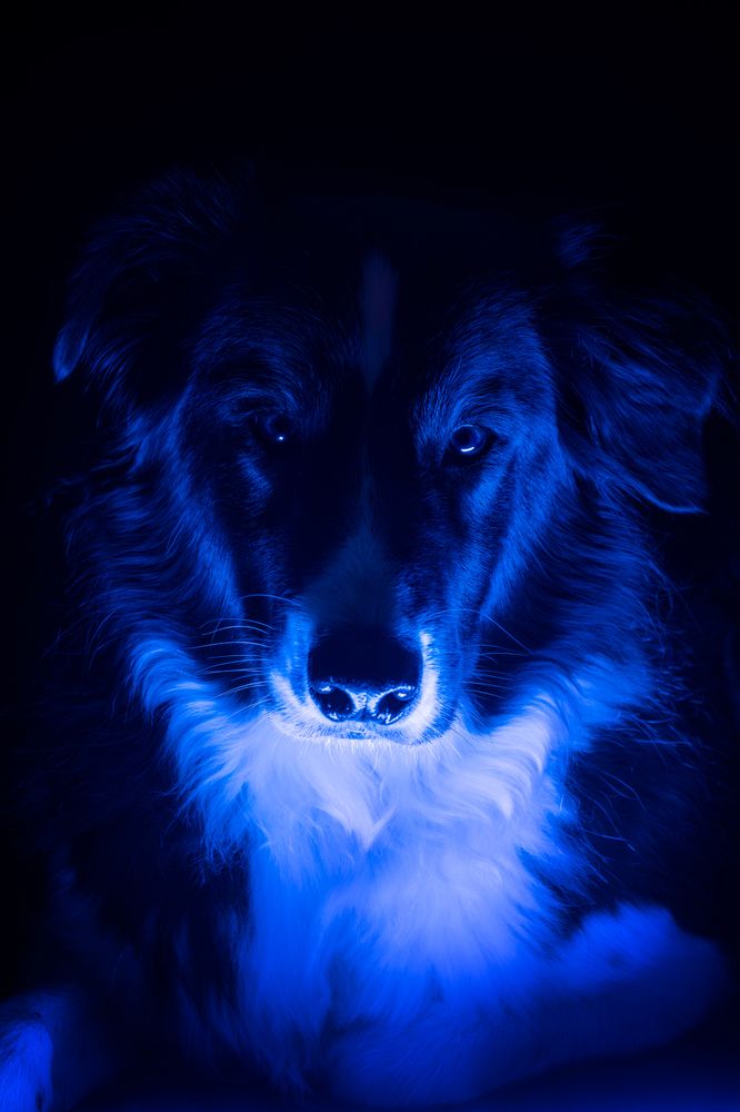 Photograph by Tamara Lebón Sánchez