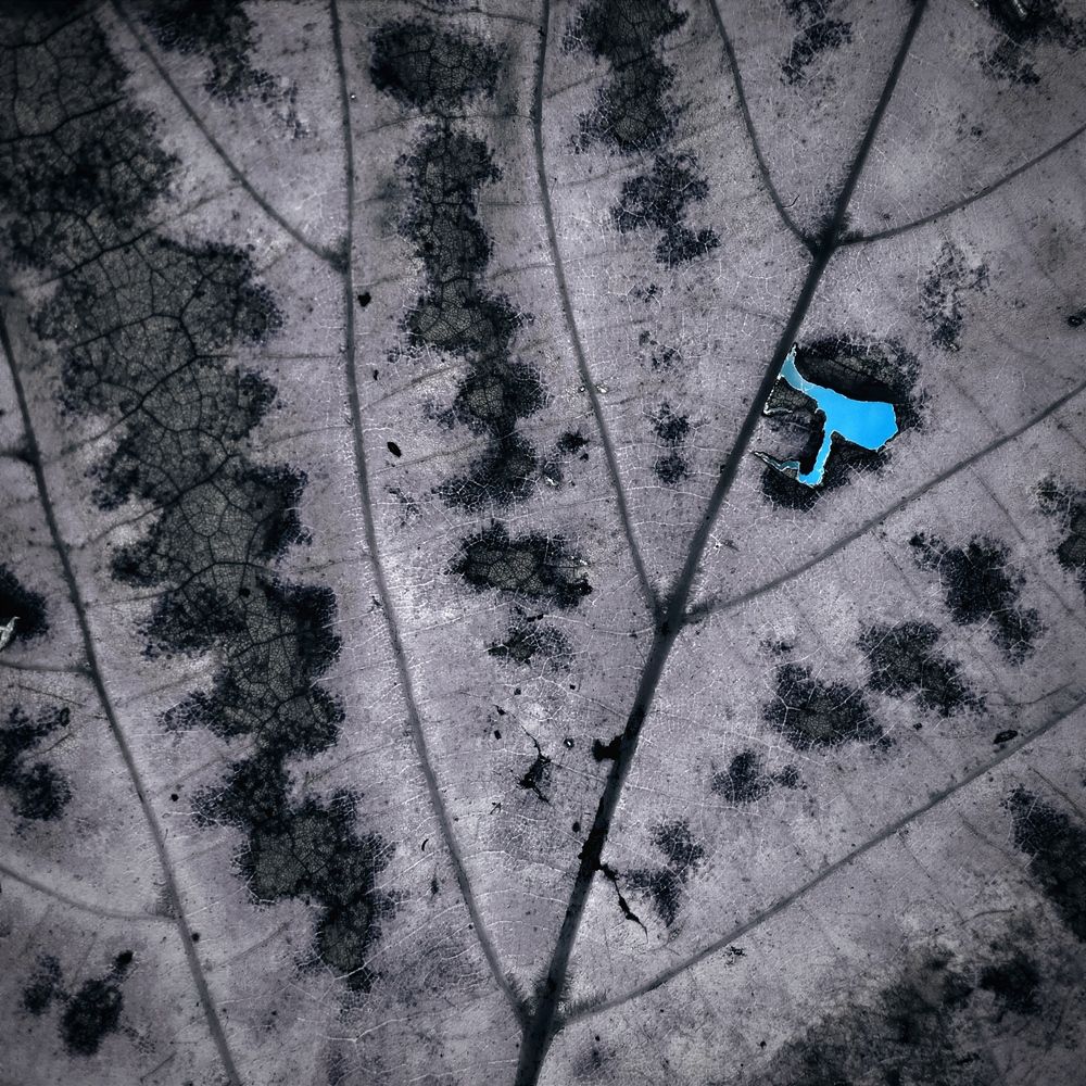 Photograph by Светлана Ищенко