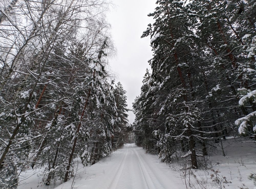 Photograph by Алексей Юдин