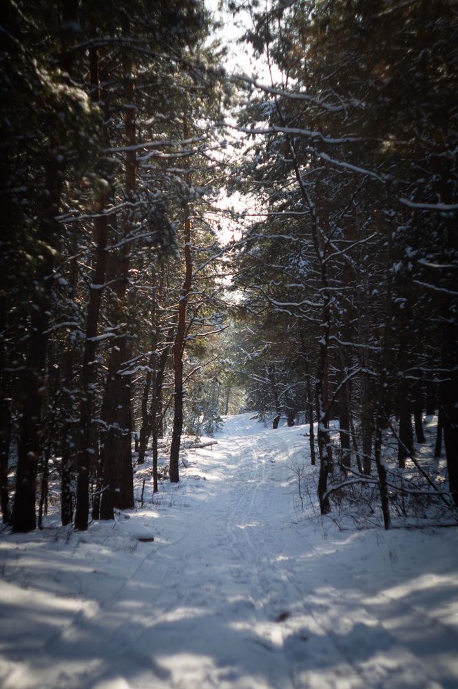 Photograph by Алексей Юдин