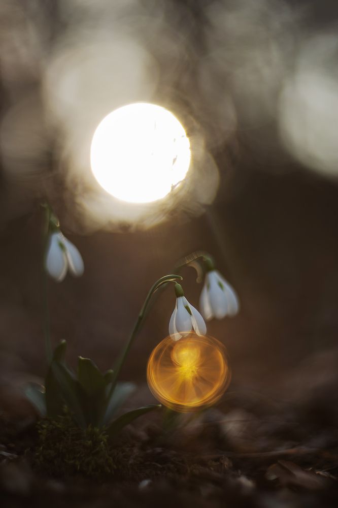 Photograph by Щепотина Татьяна