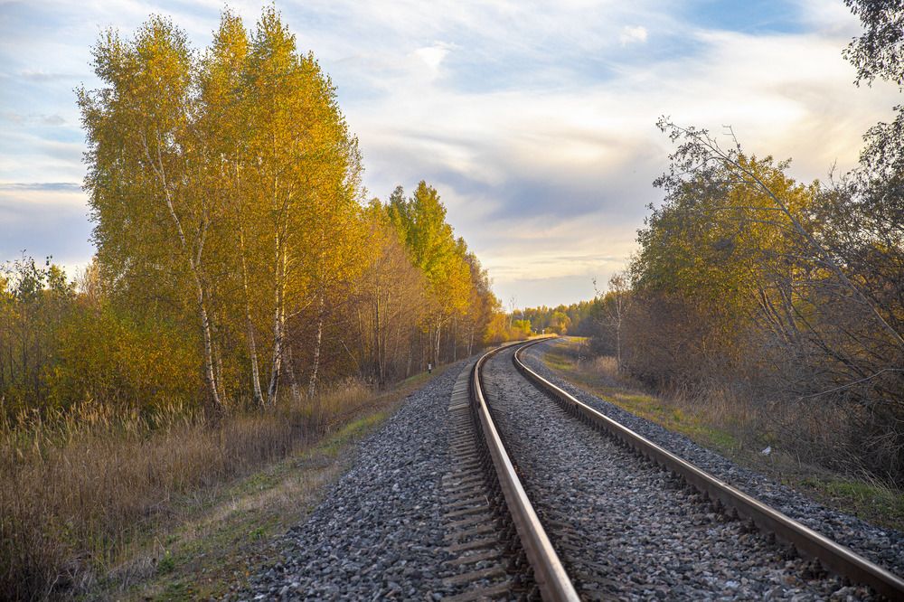 Photograph by Любовь Перевозникова