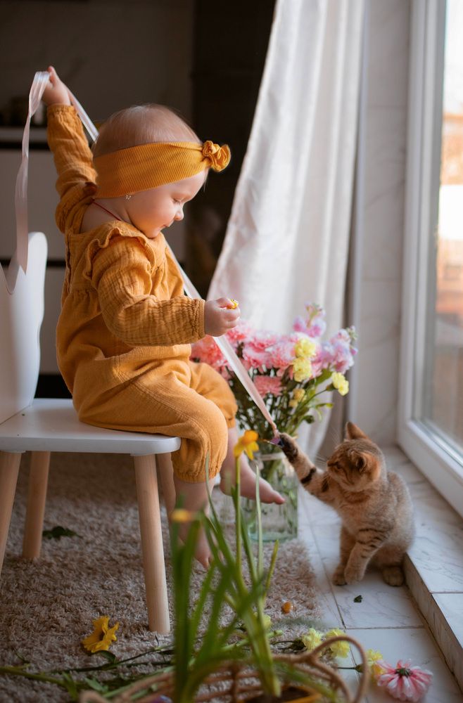 Фотография автора Виолетта