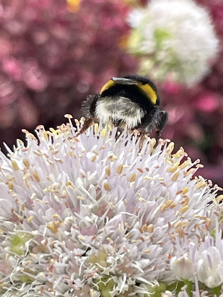 Photograph by Nadya Sterligova