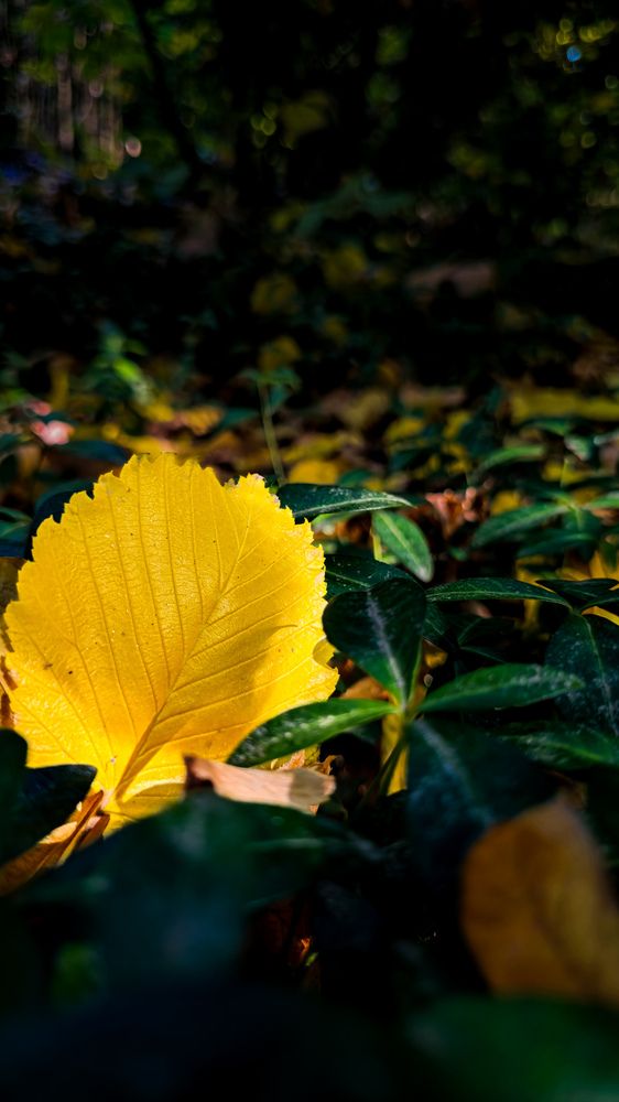 Photograph by Кристина Кошелева