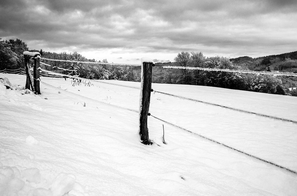 Photograph by Pavel Rabas