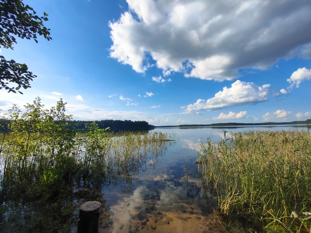 Photograph by Екатерина Борисовна Кузьмина