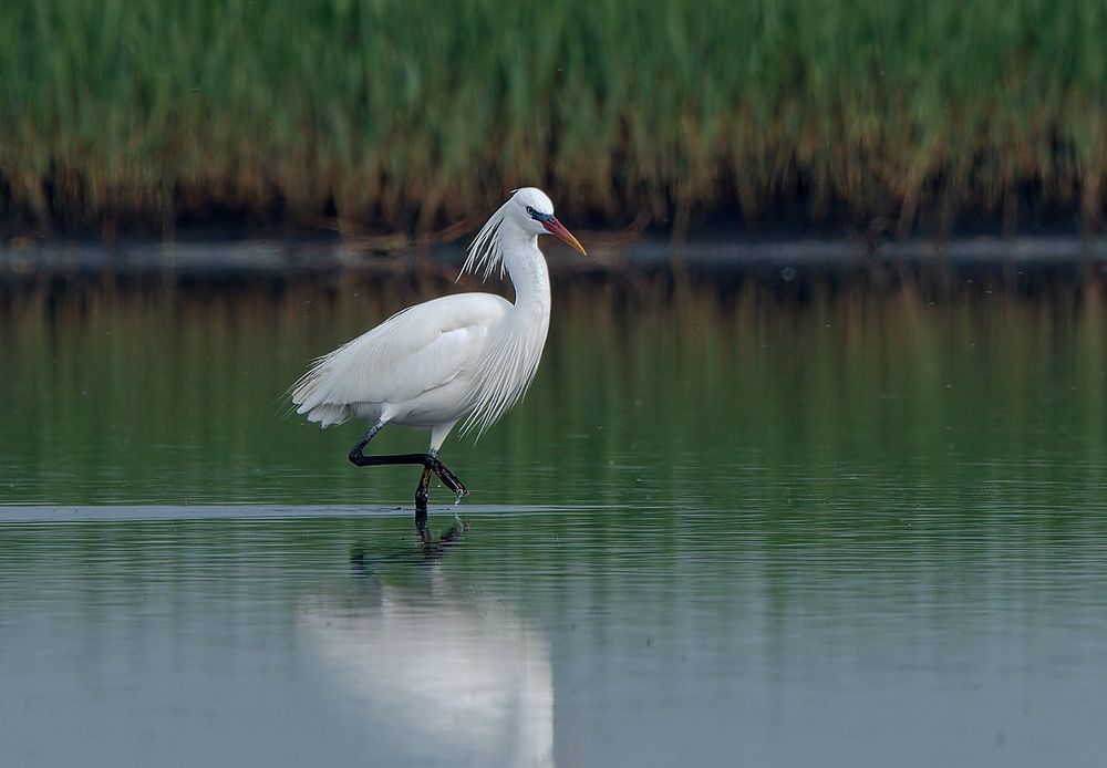 Фотография автора Олег Набровенков