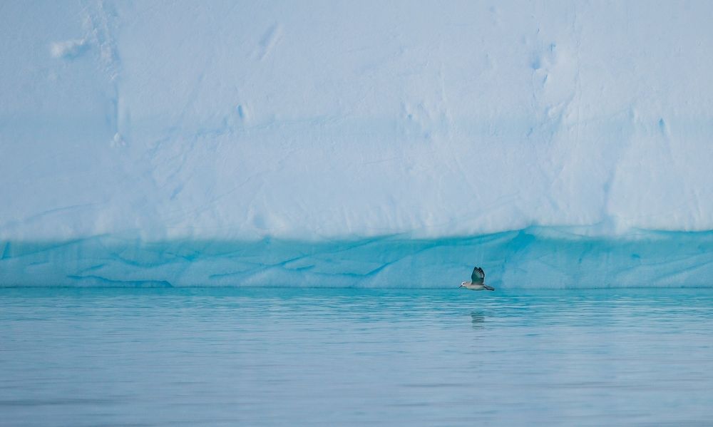 Photograph by Артём Сташкевич
