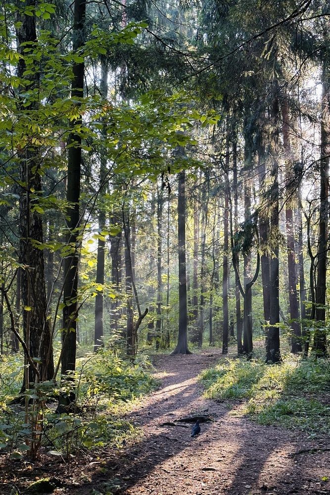 Photograph by Рина Серёгина