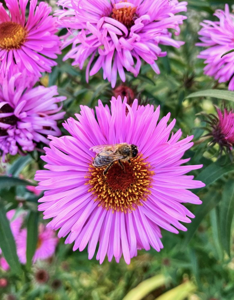 Photograph by Артем Харисов