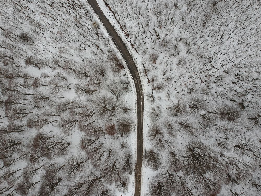 Photograph by Serdar AVCI