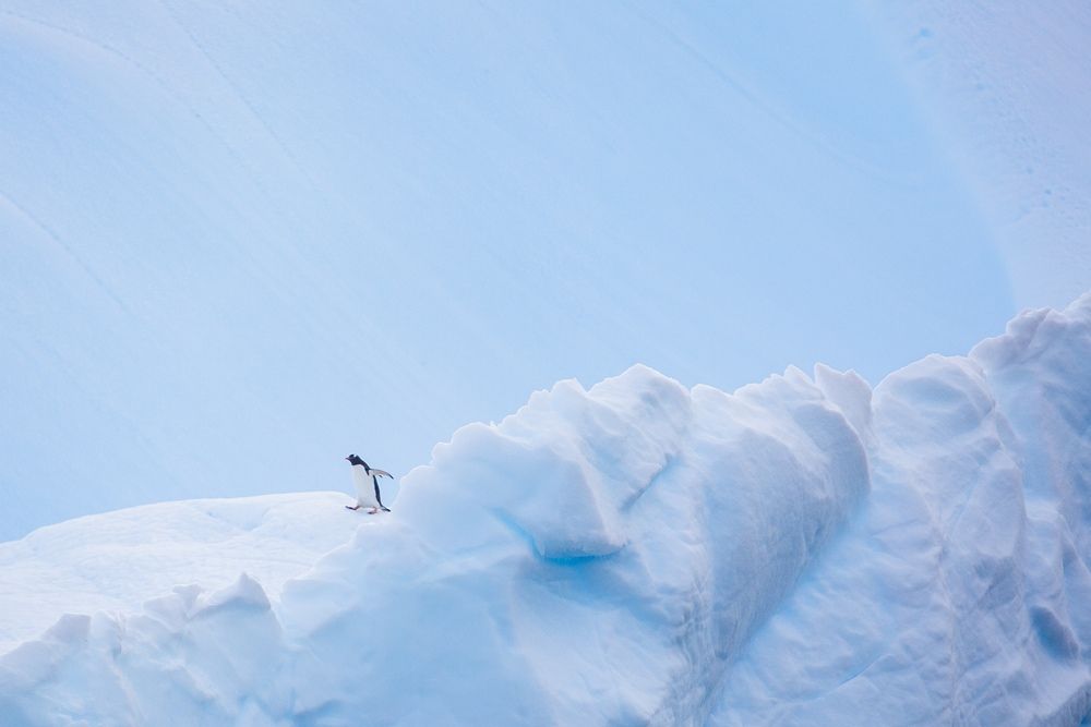 Photograph by Артём Сташкевич