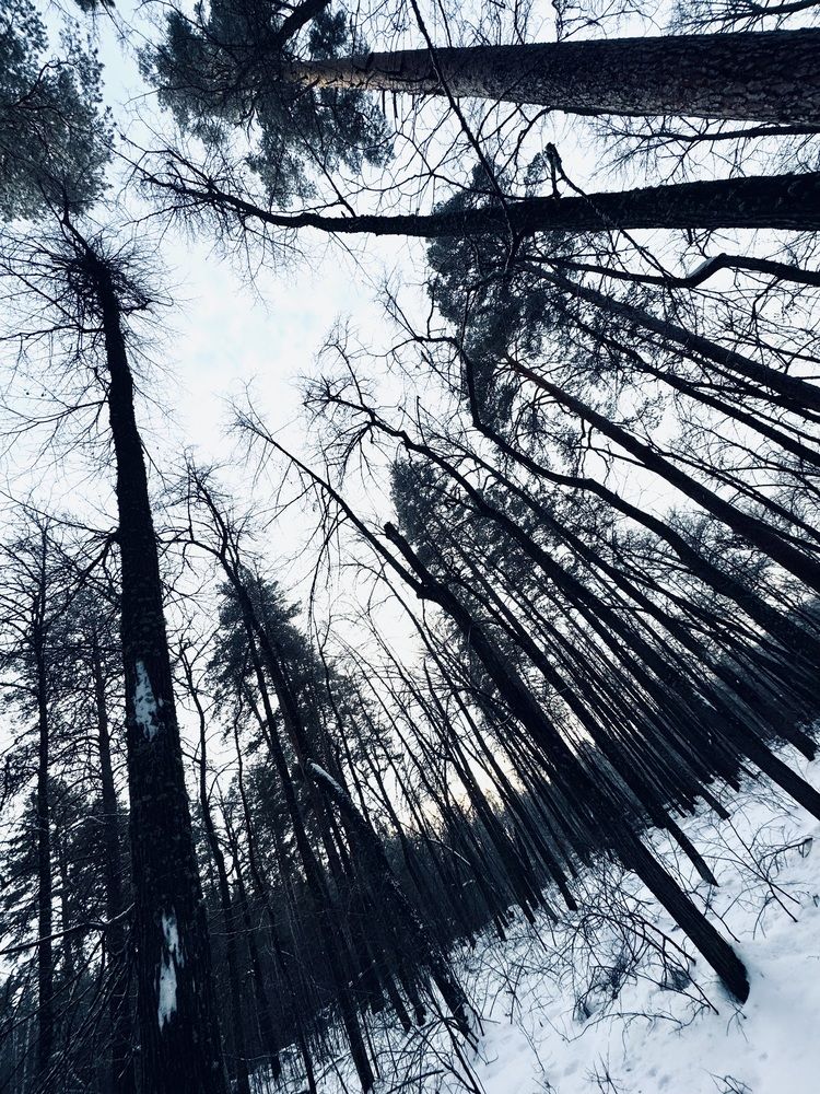 Photograph by Наталья Котина