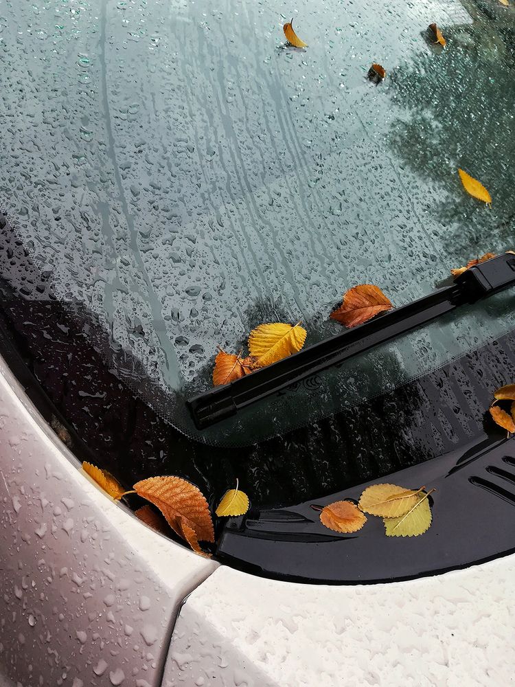 Photograph by Sahar Jafari