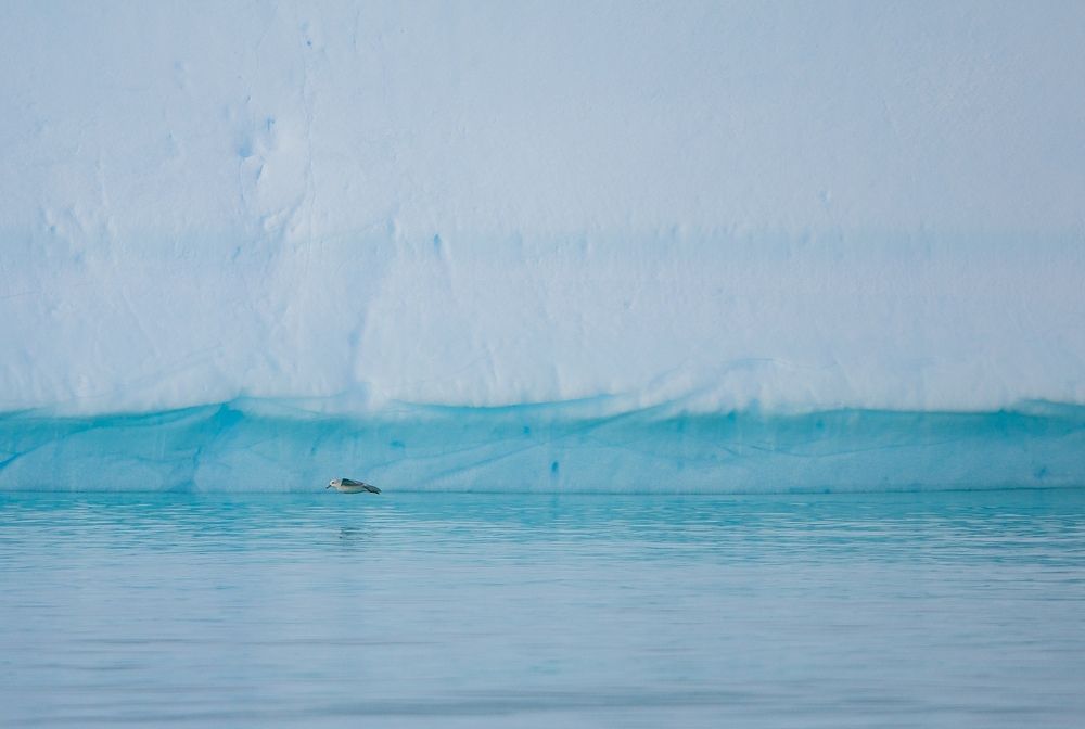 Photograph by Артём Сташкевич