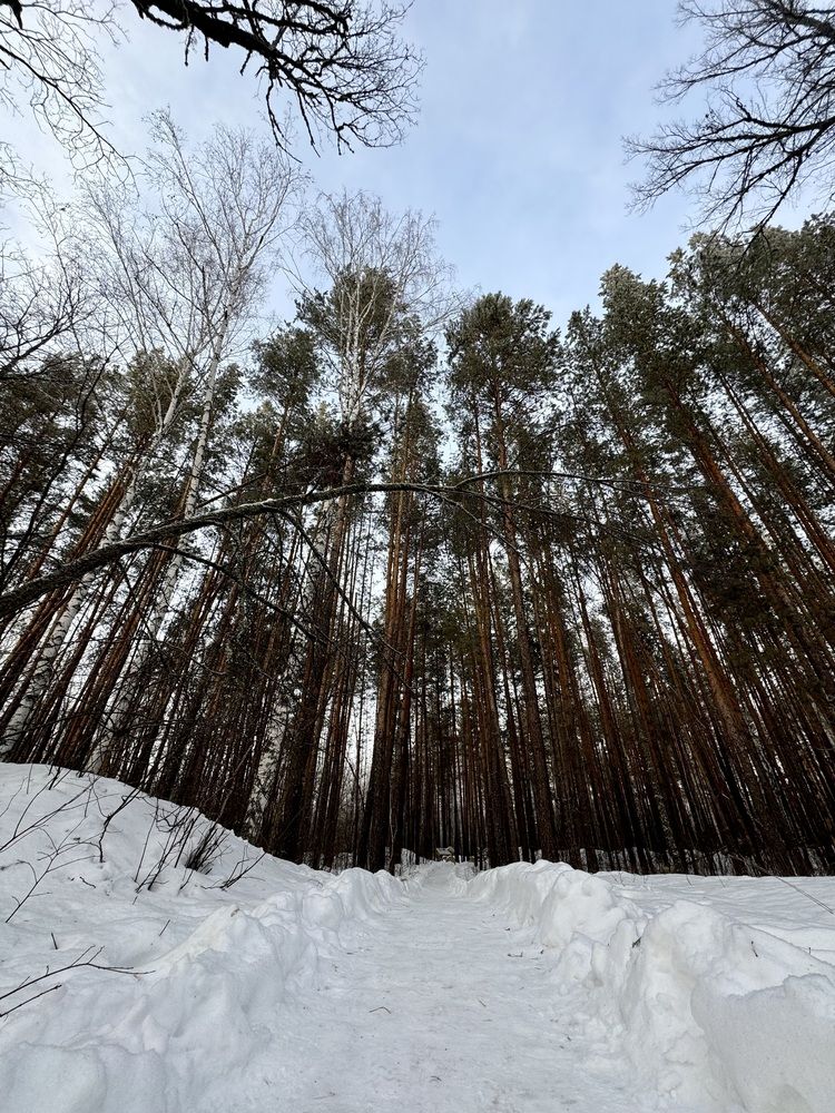 Photograph by Наталья Котина