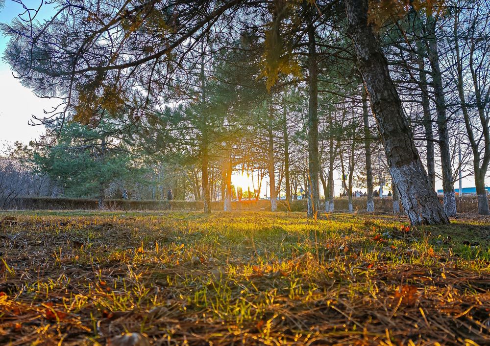 Photograph by Сергей Гибков