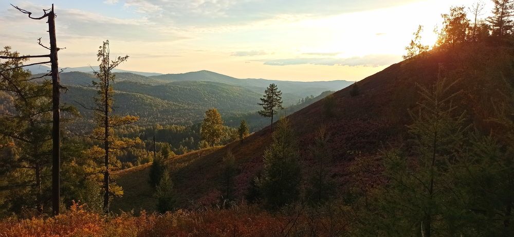 Фотография автора Сергей Тимофеев