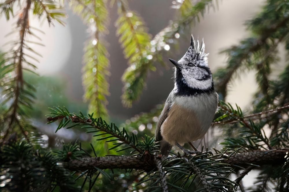 Photograph by Matsvei Liatkouski