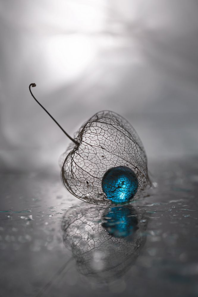 Фотография автора Обидина Мария