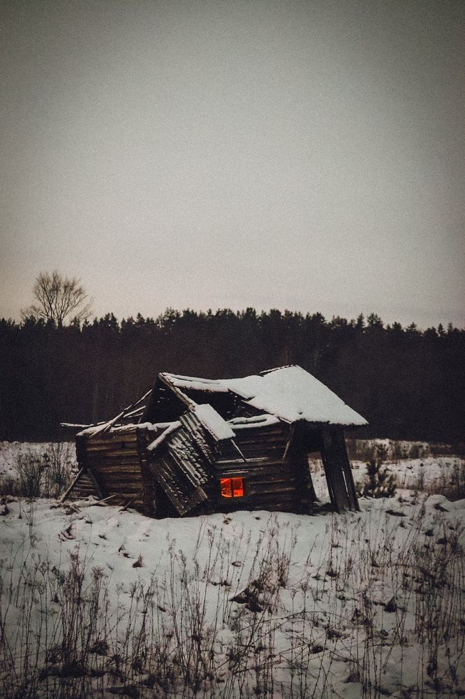 Фотография автора Олеся Шипихина
