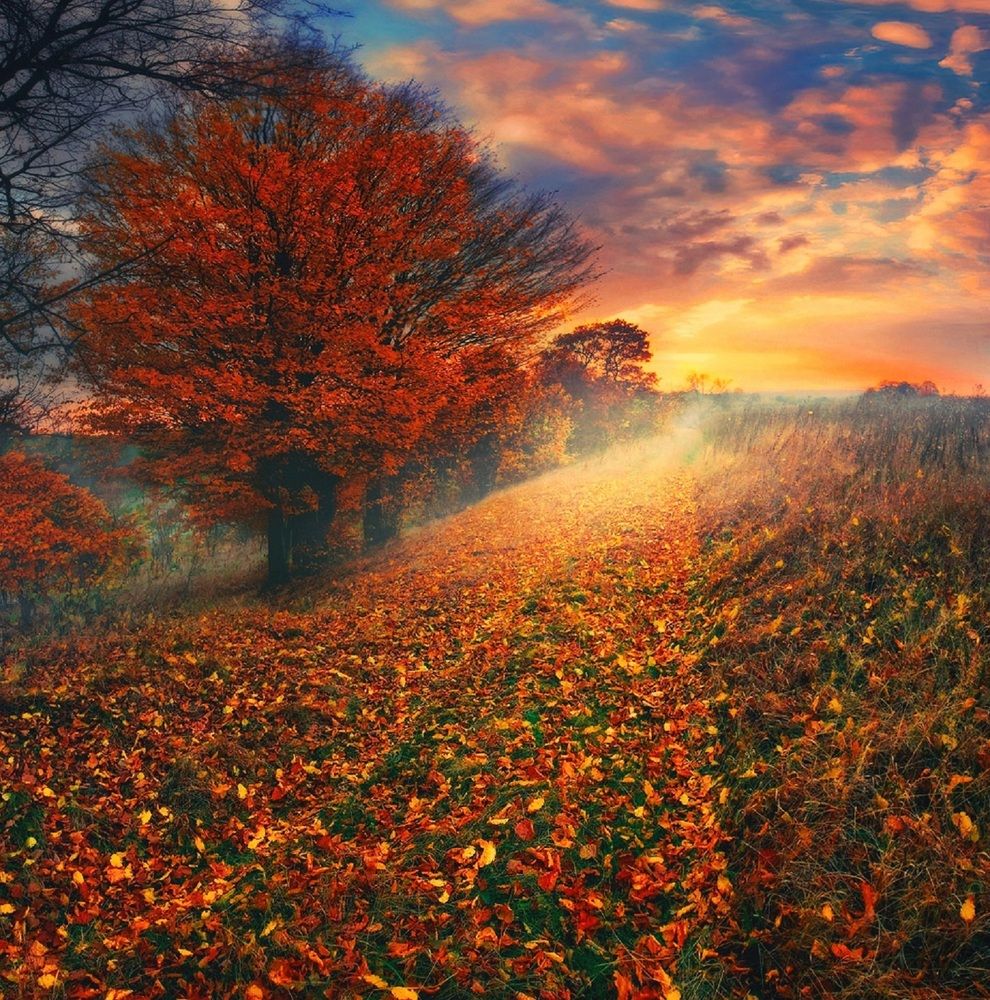 Photograph by Владимир