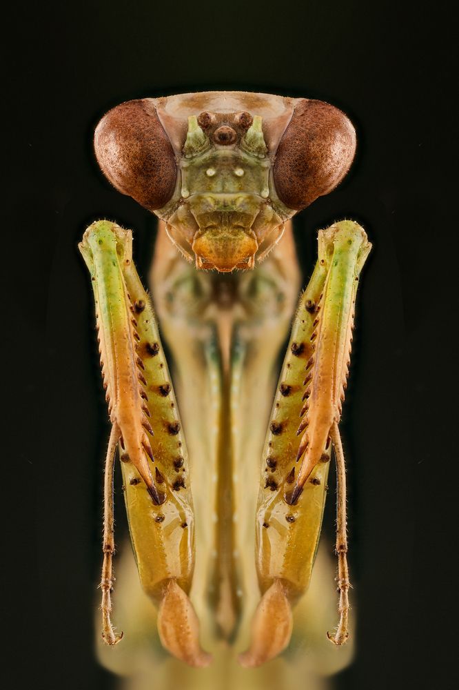 Photograph by Hocine Ferhat