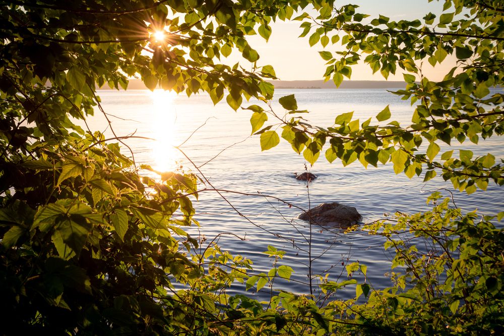 Photograph by Глеб Обуховский