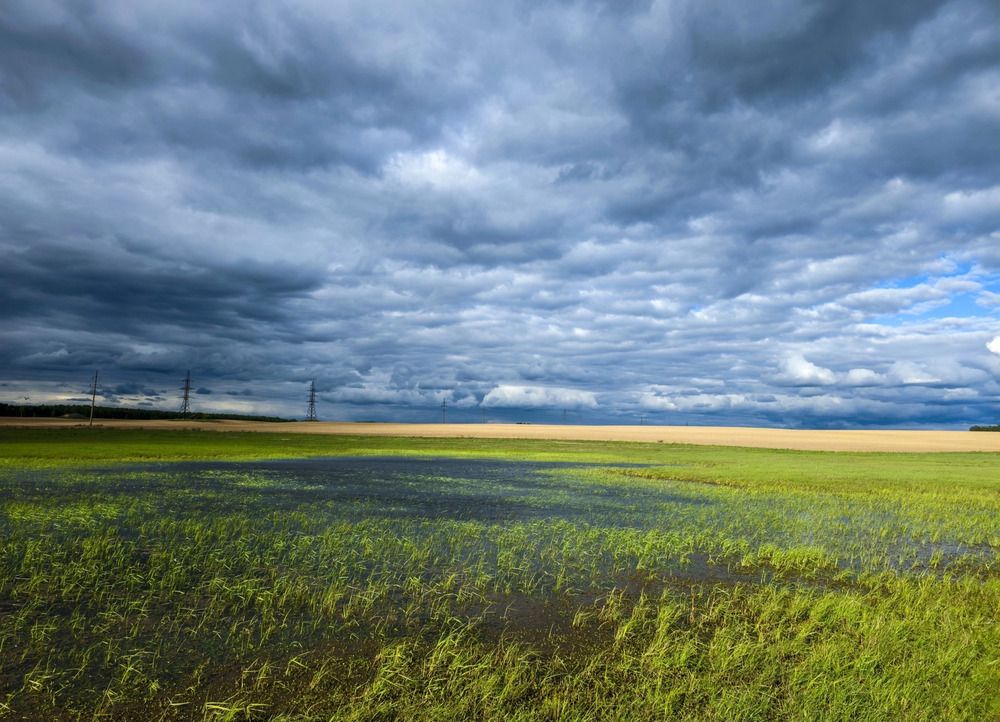 Photograph by Кирилл Сидоров