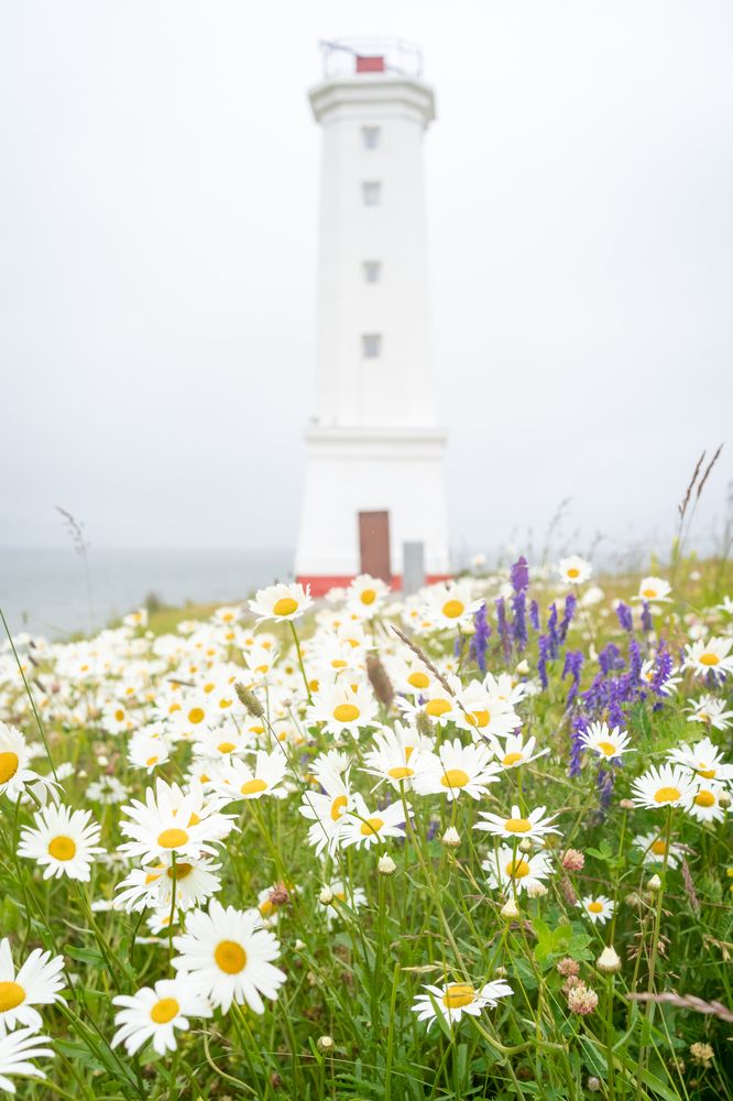 Photograph by Варвара