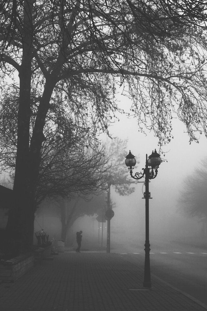 Photograph by Mila Nikolova