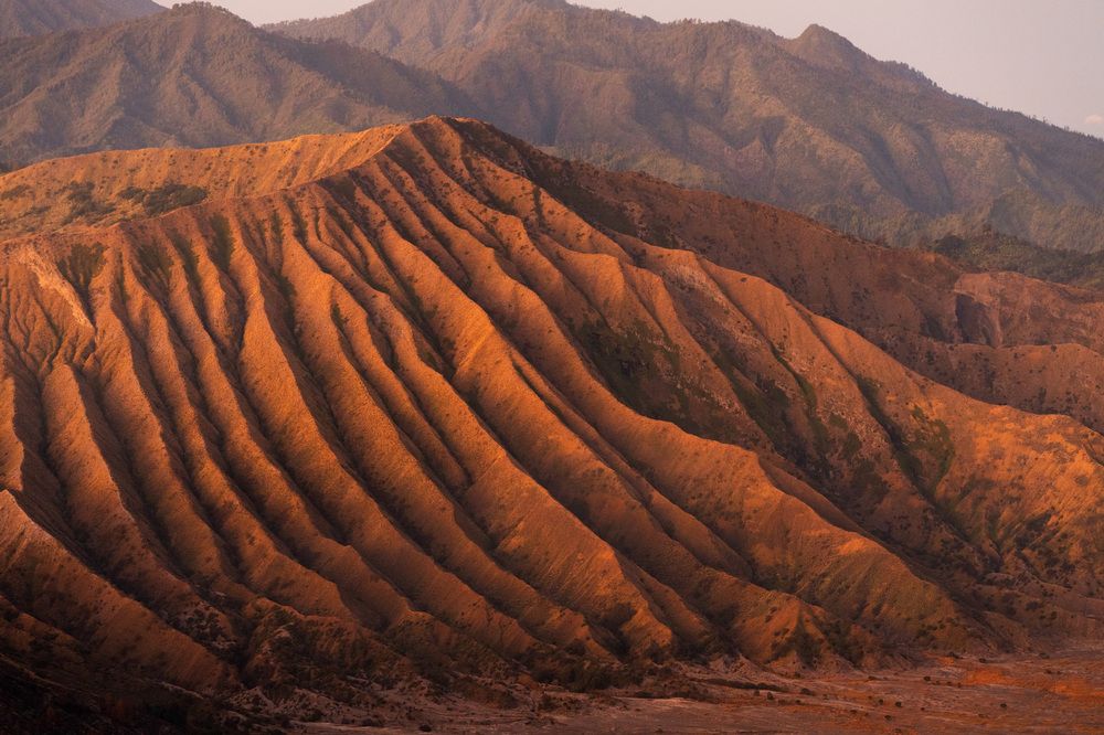 Фотография автора Светлана Зимина