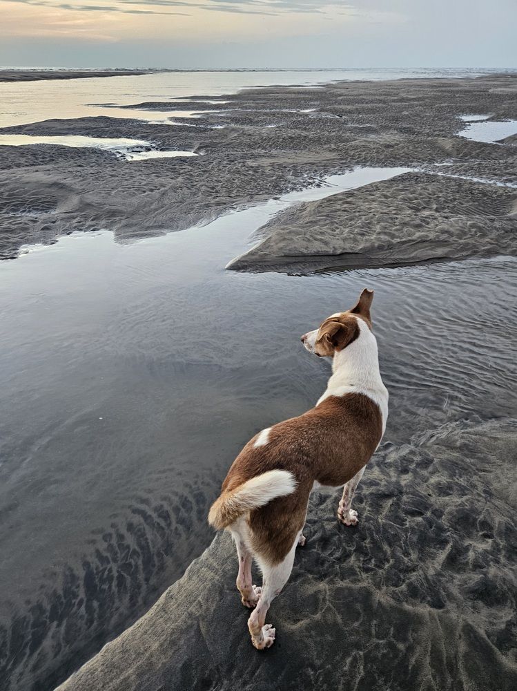 Photograph by Кристина Кердянова
