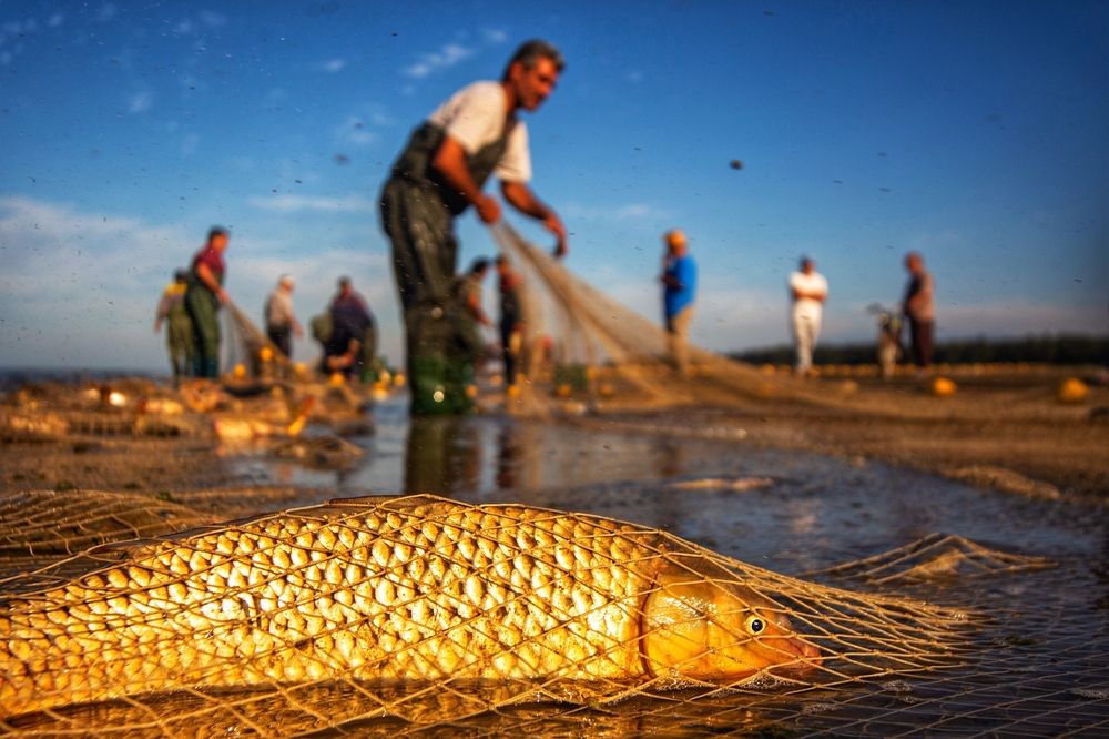 Photograph by mehdi mohebi pour