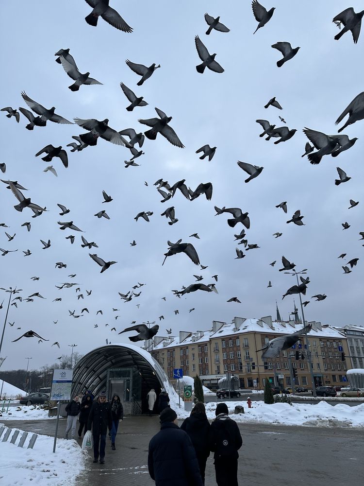 Фотография автора Наталия Лещик