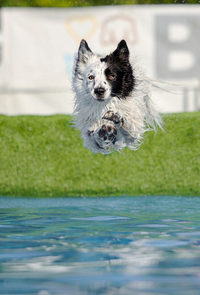 Photograph by Monika Maciejewska