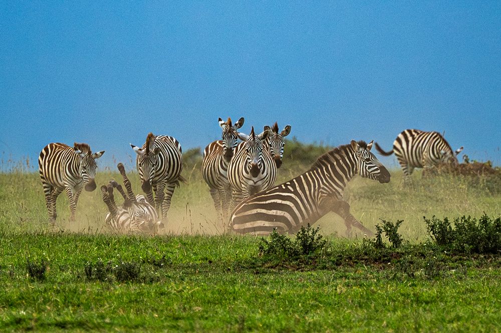 Photograph by Antonín Dudek