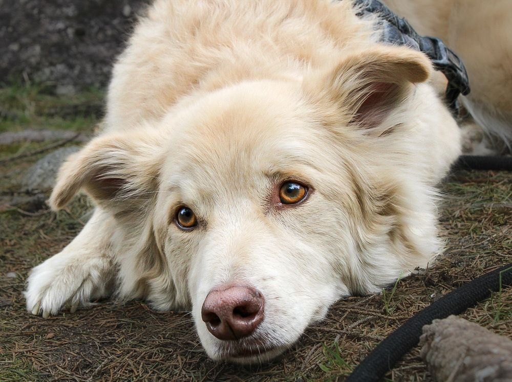 Photograph by Denise Bettoni