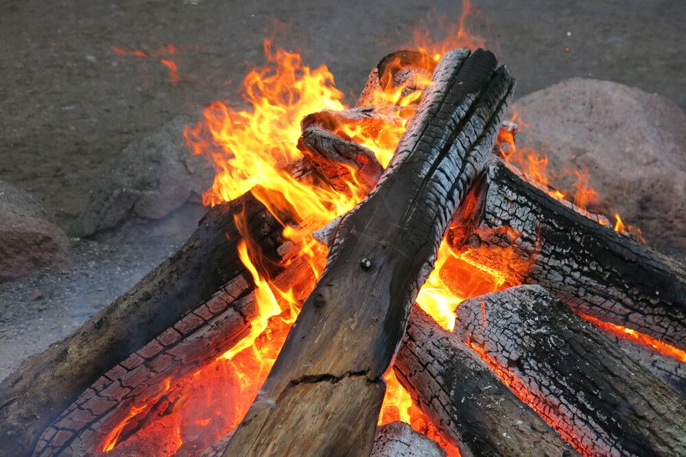 Photograph by ЭЛЬМИРА  ИСМАИЛОВА