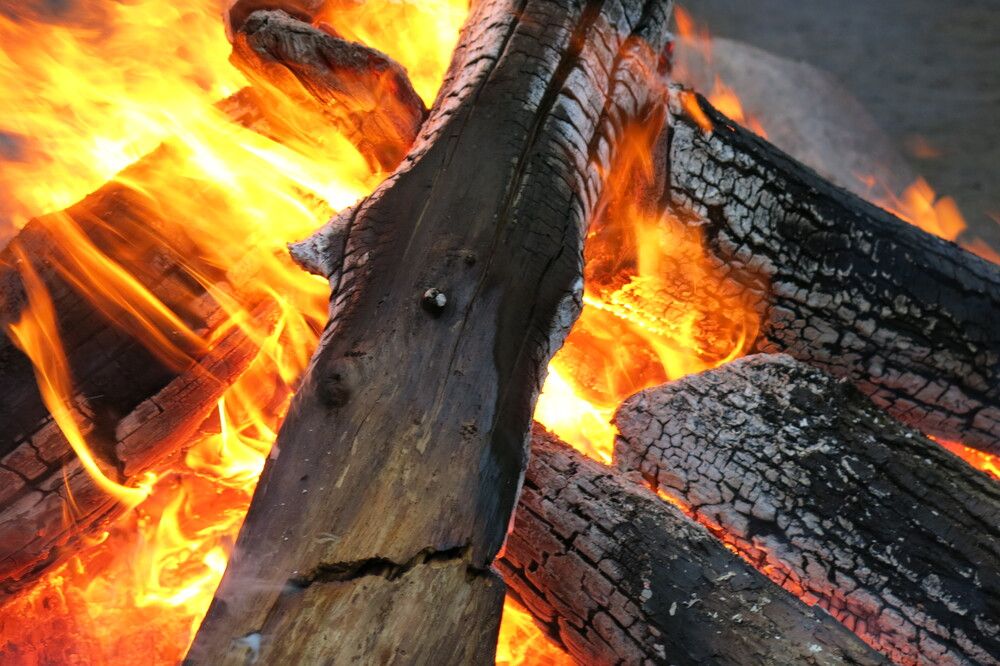 Photograph by ЭЛЬМИРА  ИСМАИЛОВА