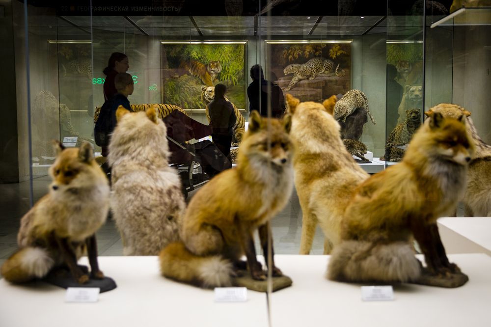 Photograph by Алиса Макарова